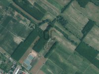 Eladó mezogazdasagi ingatlan, Dánszentmiklóson 3.9 M Ft