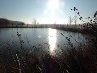 Eladó mezogazdasagi ingatlan