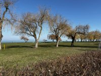 Eladó nyaraló, Balatonszemesen 118.9 M Ft, 3 szobás