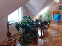 Eladó családi ház, Kecskeméten 95 M Ft, 4 szobás