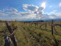 Eladó telek, Harkán 4.4 M Ft / költözzbe.hu