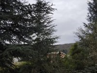 Eladó telek, II. kerületben 349 M Ft / költözzbe.hu