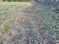 Eladó telek, Szentesen 15 M Ft / költözzbe.hu