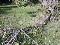 Eladó ipari ingatlan, Monoron 60 M Ft / költözzbe.hu