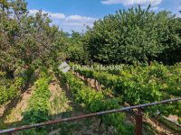 Eladó családi ház, Zalaegerszegen 11.99 M Ft, 1 szobás