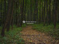 Eladó telek, Regenyén 3.5 M Ft / költözzbe.hu