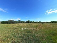 Eladó családi ház, Nagykőrösön 9.99 M Ft