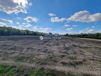 Eladó ipari ingatlan