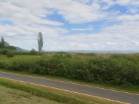 Eladó mezogazdasagi ingatlan, Balatongyörökön 72 M Ft