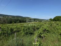 Eladó mezogazdasagi ingatlan, Solymáron 19.2 M Ft