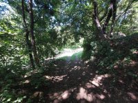 Eladó mezogazdasagi ingatlan, Diósjenőn 4.9 M Ft
