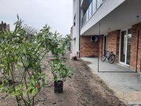 Eladó téglalakás, XX. kerületben 71 M Ft, 2 szobás