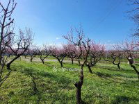 Eladó telek, Siófokon 127 M Ft / költözzbe.hu