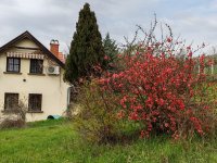 Eladó családi ház, Kötcsén 59 M Ft, 3 szobás