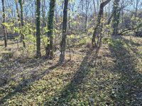 Eladó telek, XVII. kerületben 40 M Ft / költözzbe.hu