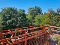 Eladó panellakás, III. kerületben 105.9 M Ft, 2+1 szobás