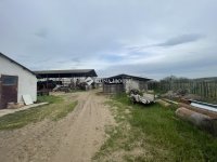 Eladó mezogazdasagi ingatlan, Domaszéken 160 M Ft