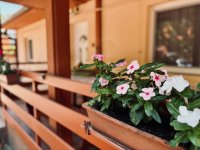 Eladó nyaraló, Zamárdiban 217 M Ft, 8 szobás