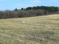 Eladó telek, Alsónemesapátiban 55 M Ft / költözzbe.hu