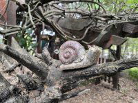 Eladó családi ház, Fóton 47.9 M Ft, 3 szobás