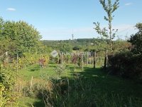 Eladó nyaraló, Zalaegerszegen 7.9 M Ft, 2 szobás