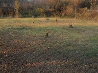 Eladó mezogazdasagi ingatlan