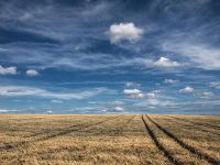 Eladó telek, Fóton 26.5 M Ft / költözzbe.hu