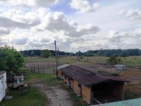 Eladó telek, Dabason 31 M Ft / költözzbe.hu