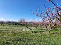 Eladó telek, Siófokon 49.5 M Ft / költözzbe.hu