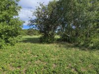 Eladó mezogazdasagi ingatlan, Balatonberényben 5.5 M Ft