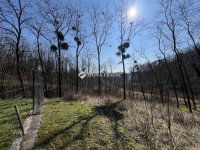 Eladó telek, Bocföldén 1 M Ft / költözzbe.hu