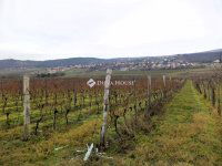 Eladó mezogazdasagi ingatlan, Nadapon 15 M Ft