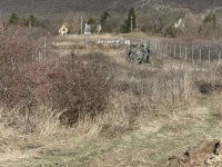 Eladó telek, Pilisszántón 30 M Ft / költözzbe.hu