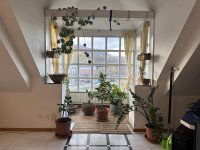 Eladó téglalakás, III. kerületben 128 M Ft, 5 szobás