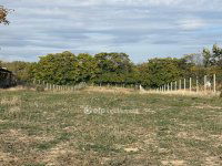 Eladó családi ház, Gombán 199.9 M Ft, 4 szobás