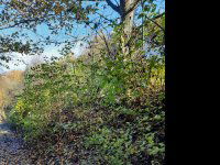 Eladó telek, Visegrádon, Csukavölgy utcában 22 M Ft