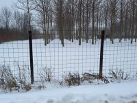 Eladó telek, Bicskén 9.5 M Ft / költözzbe.hu