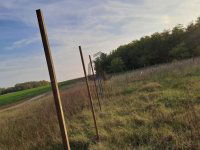 Eladó mezogazdasagi ingatlan, XVII. kerületben, Orgoványiszőlő dűlőn