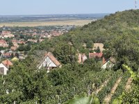 Eladó családi ház, Szekszárdon 15 M Ft, 2 szobás