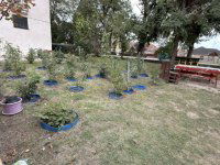 Eladó téglalakás, Kecskeméten 39.9 M Ft, 2 szobás