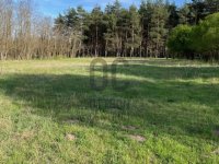 Eladó telek, Pakson 20 M Ft / költözzbe.hu