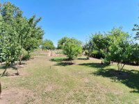 Eladó családi ház, Albertirsán 24.9 M Ft, 3 szobás