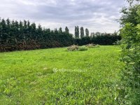 Eladó családi ház, Érden 179 M Ft, 6 szobás