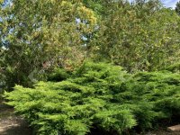 Eladó telek, Bőnyön 9.9 M Ft / költözzbe.hu