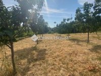 Eladó családi ház, XXII. kerületben 54.9 M Ft, 3 szobás