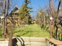 Eladó családi ház, Mogyoródon 46 M Ft, 4 szobás