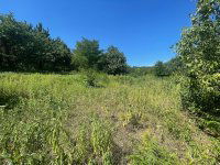 Eladó mezogazdasagi ingatlan