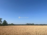 Eladó telek, Balatonszabadiban 27.9 M Ft / költözzbe.hu