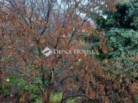 Eladó téglalakás, II. kerületben 69.95 M Ft, 1 szobás