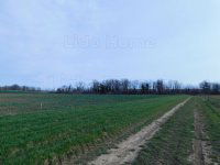 Eladó telek, Nemesbükön 6.5 M Ft / költözzbe.hu